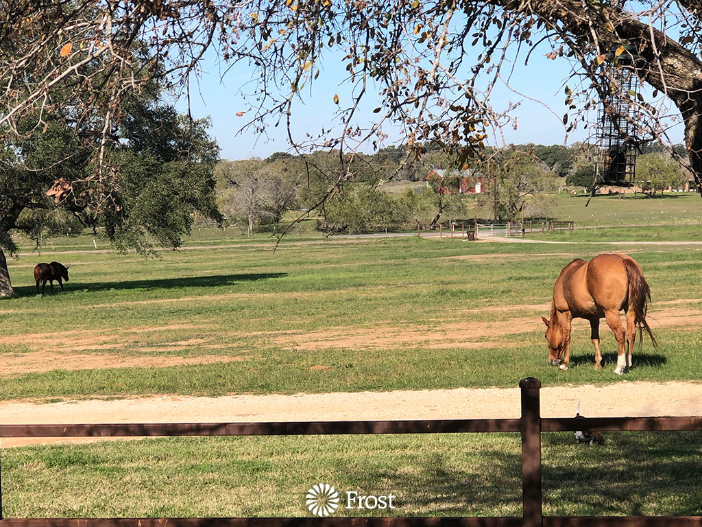 View From our Front Porch