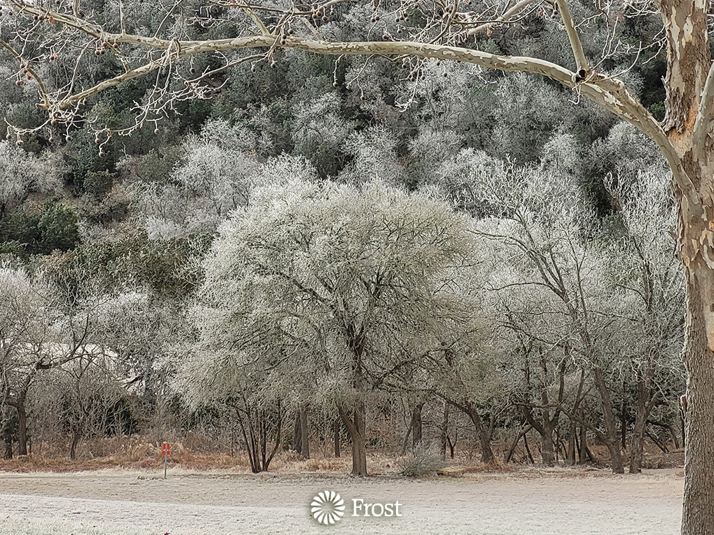 Ice at Big Joshua Creek