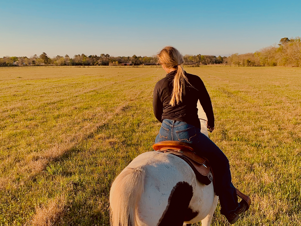 Hay Field Summer Evenings 