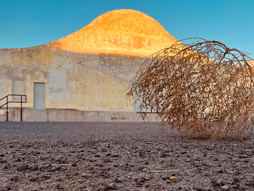 Morning Walk in Marfa