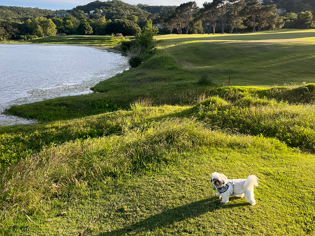 Texas Hill Country