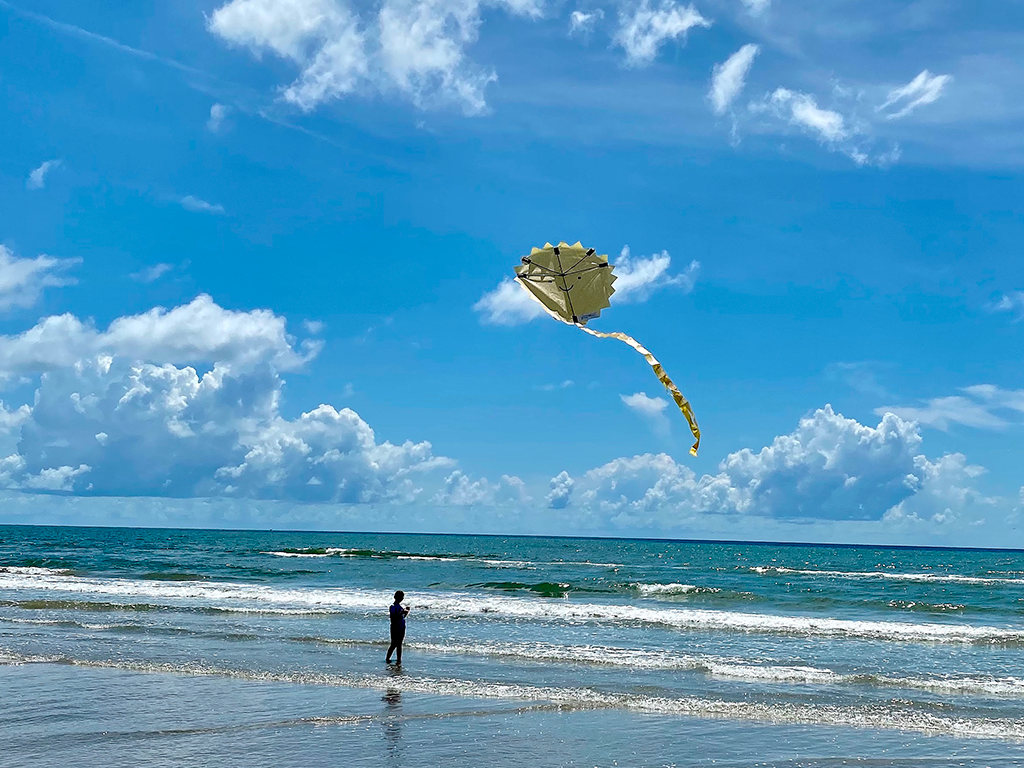Let’s Fly a Kite