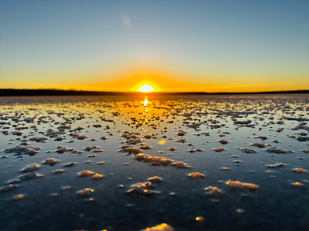 Sal Del Rey at Sunset