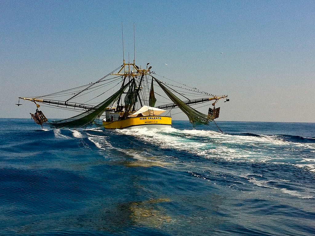Reflections On the Gulf