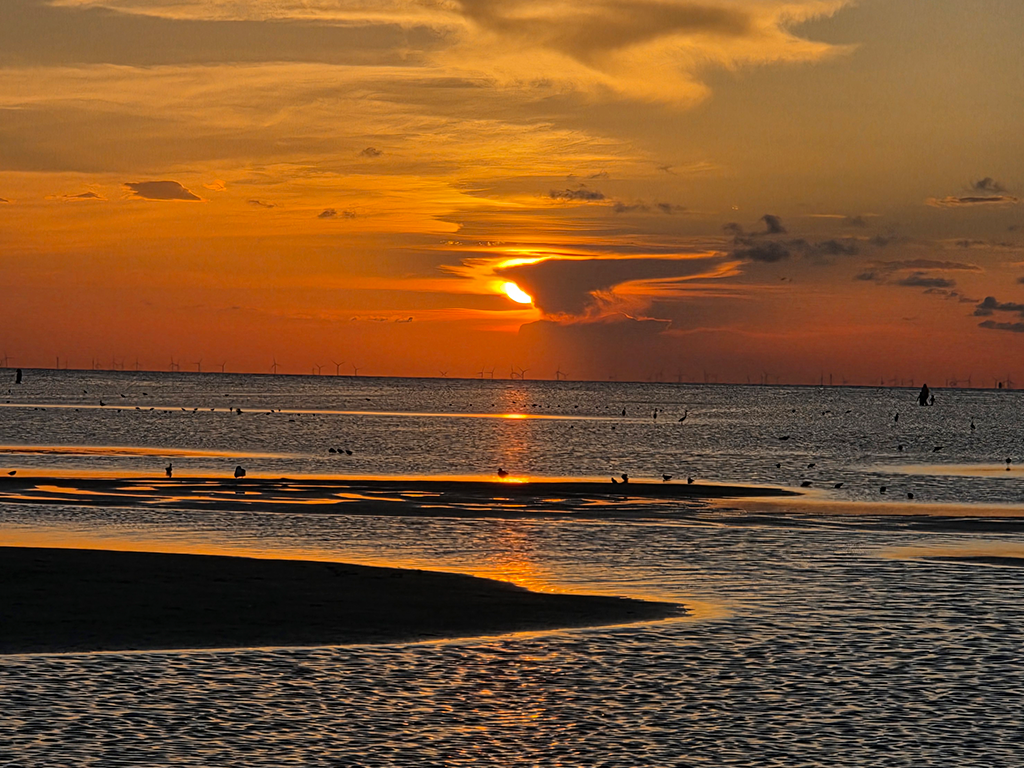 Sunset on the Bay