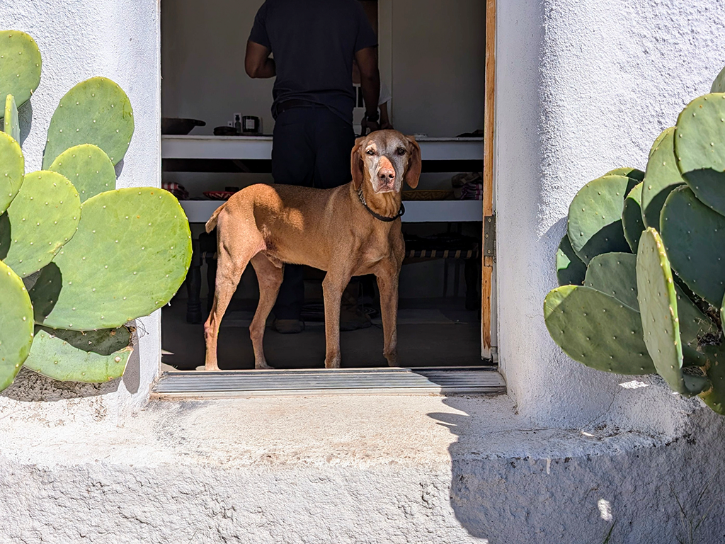 Greeter at the Soap Store
