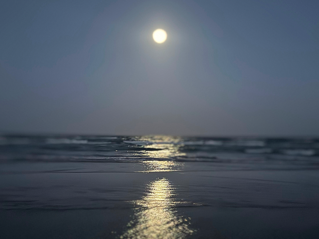 Shining Moon