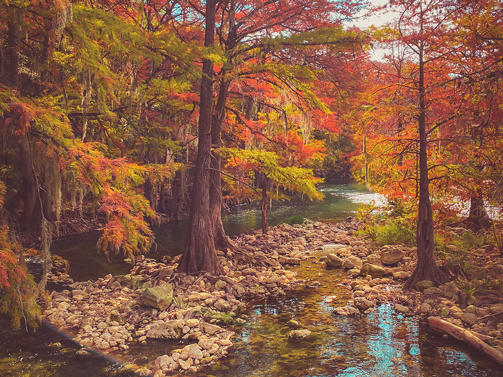 Fall at the Comal River