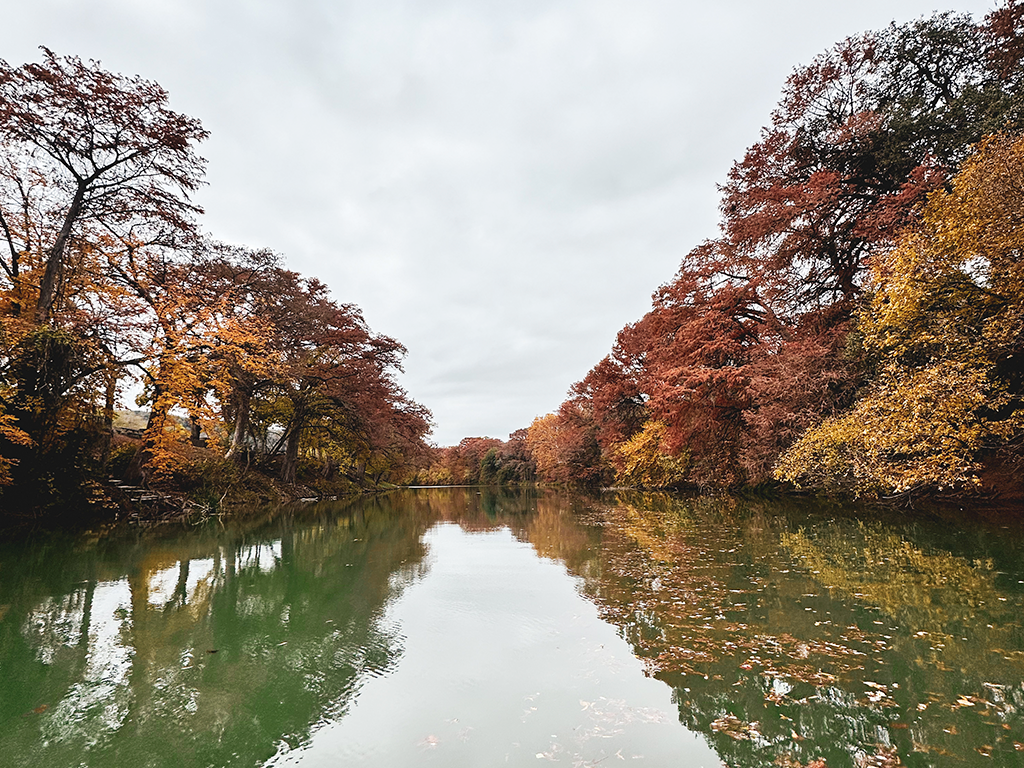Hill Country Fall