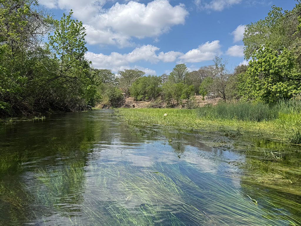 Paddle Boarding On San Marcos River